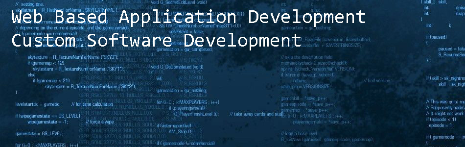 custom software development